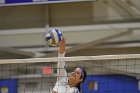 Wheaton Women's Volleyball  Wheaton Women's Volleyball vs Bridgewater State University. : Wheaton, Volleyball, BSU, Bridgewater State College